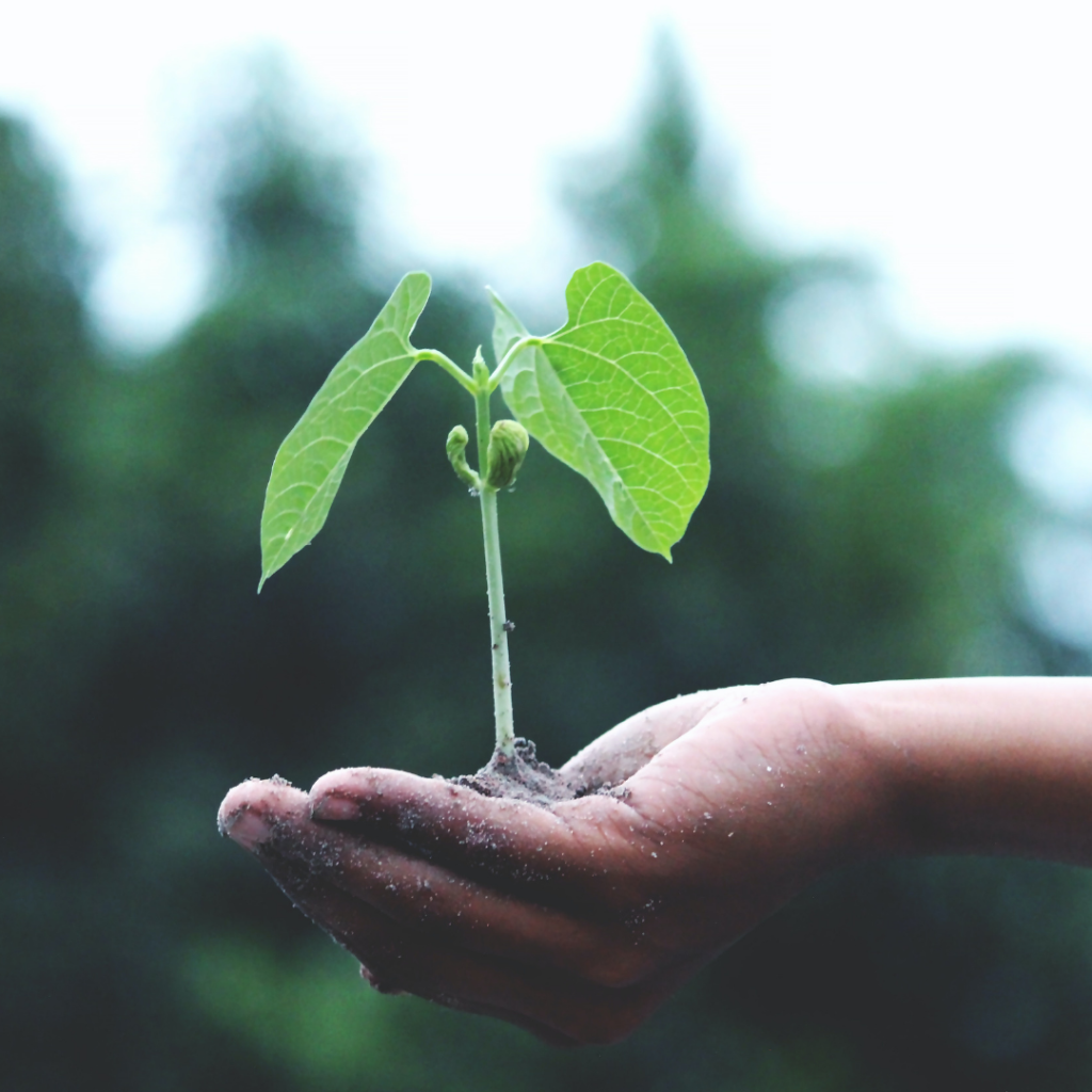 Objectifs zéro carbone